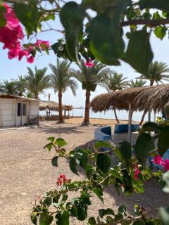 Bayt Alhout - Nuweiba - 9