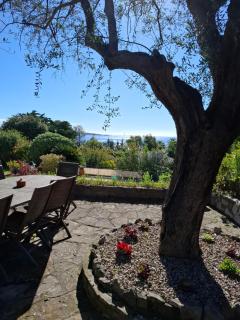 Villa Roxane - Vallauris - 5