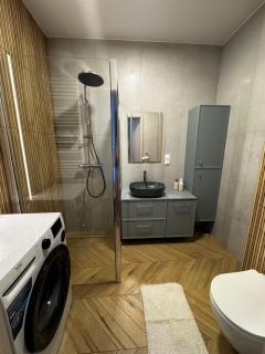 APARTAMENT przy Tężni Busko Zdrój - Busko-Zdrój - 3