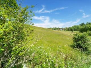Stunning Holiday Home in G ntersberge near Lake - Güntersberge - 1