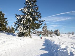 Home in the Rothaar Mountains - 2