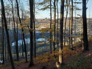 Apartment near ski resort in Olsberg - Elpe - 1