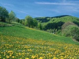 Apartment near ski resort in Olsberg - Elpe - 2
