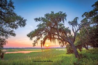 Gritz & Giggles, Where Southern Charm Meets Belly Laughs - Port Royal - 5