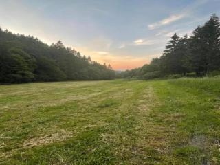Holiday flat in Schwalefeld near the ski area - Willingen - 2