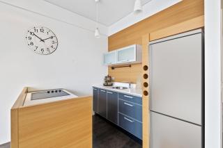 Central Reykjavík Baldursbrá apartment - Reykjavik - 6