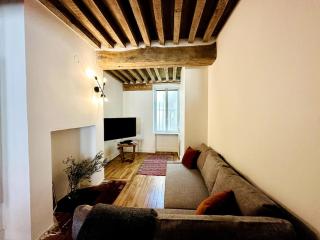 Dijon Hypercentre Apartment - 4