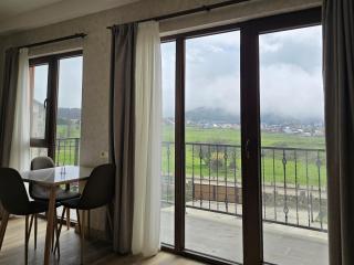 Bakuriani apartment 205 Tsakadze st 20 - Bakuriani - 6