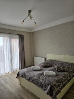 Bakuriani apartment 205 Tsakadze st 20 - Bakuriani - 4