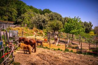Bed & Breakfast Duchessa - 2 Private Rooms with Ensuite Bathrooms - Lapedona - 1