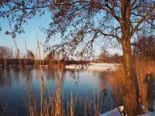Ferienwohnung Coproyshof am See in Wesel am Niederrhein 5 Sterne DTV-Klassifizierung 6 Personen - 9
