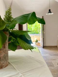 La Villa di Cristina - Selva di Fasano - 3