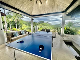 New Exclusive Retreats Tamarindo 8 Bedroom Villa - Tamarindo - 3