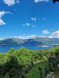Chalet Como Lake magia tra Cervi e Bellagio - Cadenabbia - 9