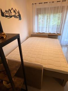 WälderNestchen - zentral - Natur pur - Tiefgarage - Balkon - modernes 2 Zimmer Appartement - Lenzkirch - 2