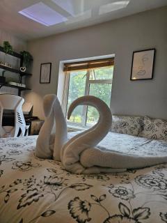 Spacious Double Room Near Heathrow Airport - Feltham - 7