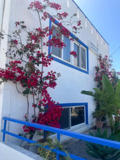 Gennadi Sun Apartments 300m from the beach - Gennadi - 2