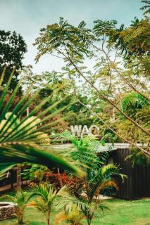 Wao Jungle Venao - Playa Venao - 9
