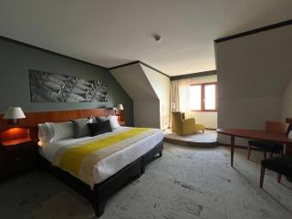 Park Lake Luxury Hotel - Pucón - 6
