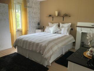 Welcoming and peaceful bed and breakfast - Fougerolles-du-Plessis - 1