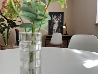 Der grüne Fürst Ferienwohnung Apartment 2 - Bad Muskau - 4