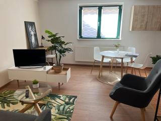 Der grüne Fürst Ferienwohnung Apartment 2 - 5