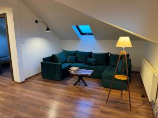 Carpatia Loft - Tarnów - 7