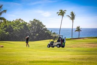 2BD Hali'i Kai (12C) at Waikoloa Resort - 8