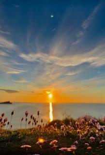 Detached Home Close to the Beach Newquay - Saint Columb Minor - 9