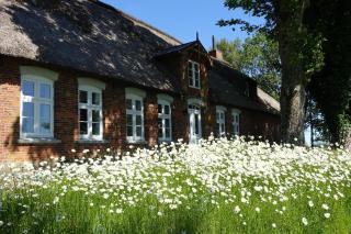 Ferien im Bauerngarten - Koldenbüttel - 9