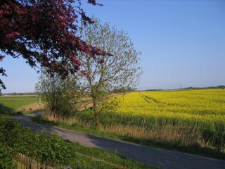 Ferien im Bauerngarten - Koldenbüttel - 6