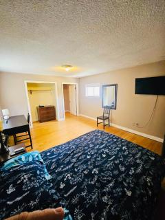 Spacious one bedroom near Miriam Hospital, Whole Foods, Brown University22R - Providence - 9