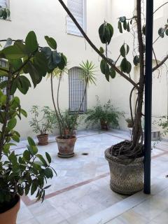SecretGarden Sevilla, Quiet Elevator, AC, WiFi - Seville - 5