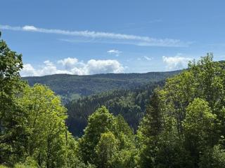 Vertu'Ose - Morbier - 8