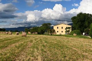 Agriturismo Casale Aurora - Castel Ritaldi - 5