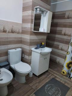 Studio Ștefan - Călimăneşti - 1