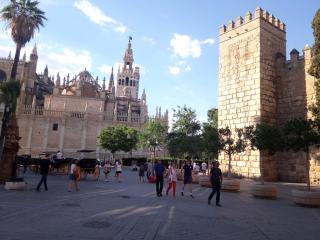 Sevilla Chic Alfalfa 1BR, 1 BA, AC, WiFi, Calm - Seville - 0