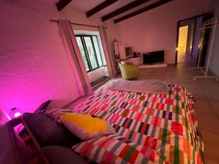 Casa Gatti - Autentica Casa Canaria nel cuore di Lanzarote - Tiagua - 6