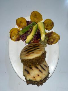 Fenix soul hostel and food ocean view - Tapantí - 1