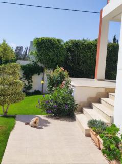 Dar Salma - - 3