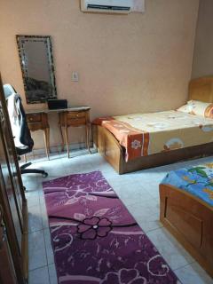 ام النعمان شليت - 7