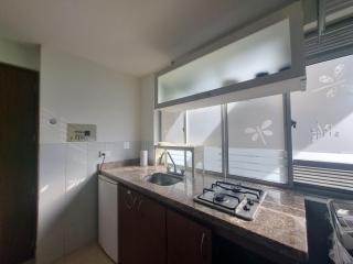 Ardival Tiny 308 - WAIWA HOST - Bucaramanga - 5