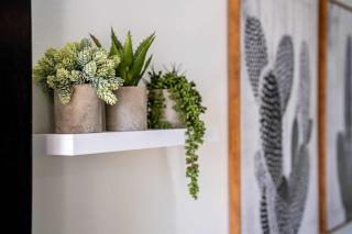 Cozy 2BR Condo in Vibrant SoLa - Austin - 2
