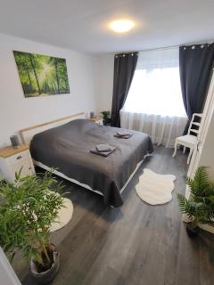 Large Central Apartment - MODERN & Fully Equipped - near fair - Colonia - 0