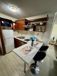 Apartamento Orquidea - Santiago - 0