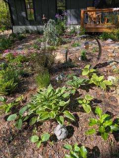Wildwood Retreat Cabin - Newland - 8