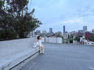 Cozy Escape in Roma Norte - Ciudad de México - 8