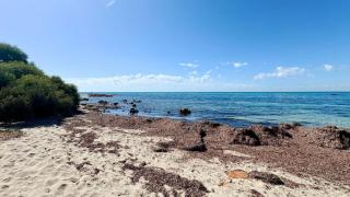 Tranquil Waters - Busselton - 5