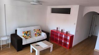 Flamingo Palmar - Palm-mar - 5