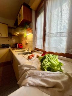 House Ilary - Montespertoli - 7